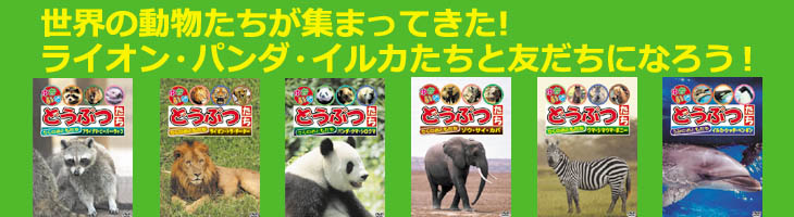 動物